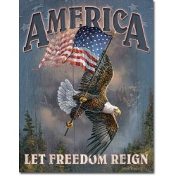 Placa metalica - America - Let Freedon Reign - 30x40 cm